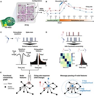 Predicting in vitro single-neuron firing rates upon pharmacological perturbation using Graph Neural Networks